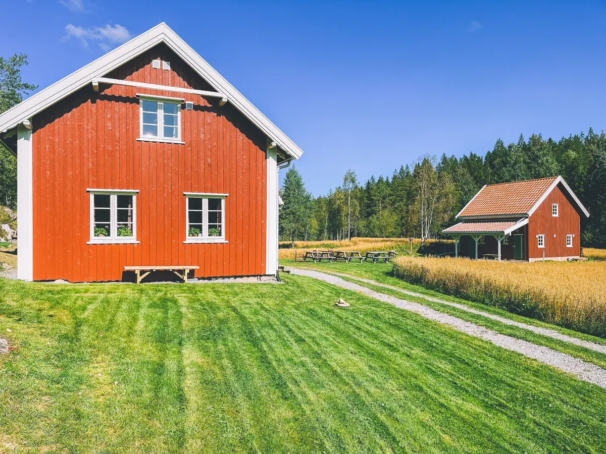 En rød hytte med hvite karmer og en rød låve.