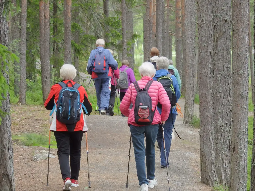 Mennesker går på tur med staver i skogen