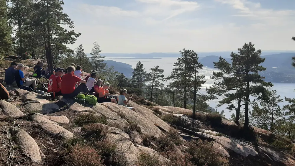 Utsikt over fjord