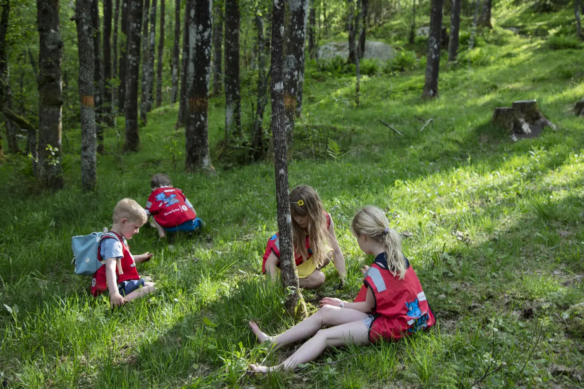 Fire barn sitter i skogen og ser etter nyttevekster, omgitt av grønt gress og stammer