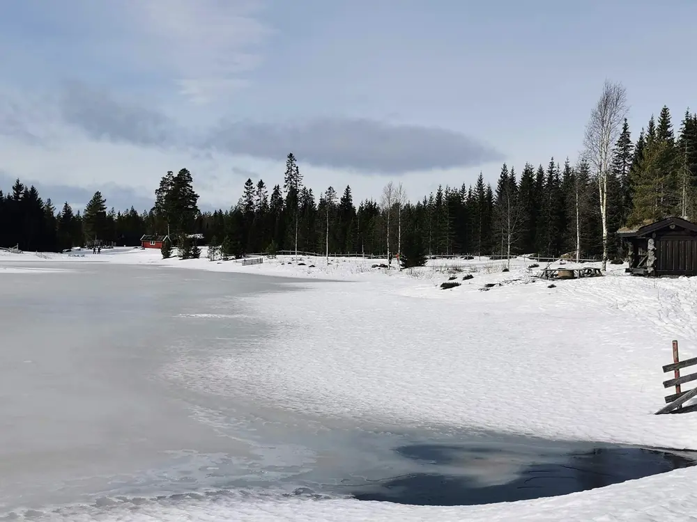 Tjern med åpent vann i innos