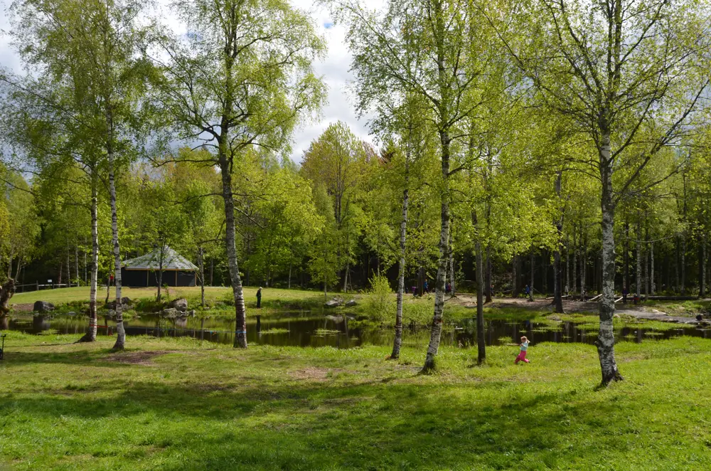 Grønne trær og et barn som løper på en gresslette