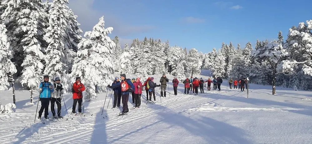 En stor gruppe mennesker ledet av en turleder på ski i skogen. Foto: Jørgen Sandnes