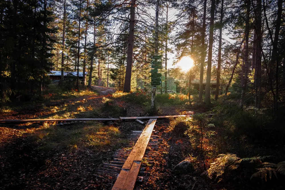 Når jeg vil en kjapp tur bort fra hverdagsmaset går jeg inn til DNT hytta Småvannsbu i kjekstadmarka. Her i høstdrakt og lyset fra solnedgangen.