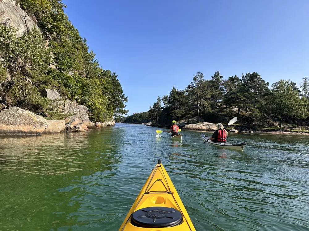 Bildet viser kajakkpadlere i den sørlandske skjærgården.
