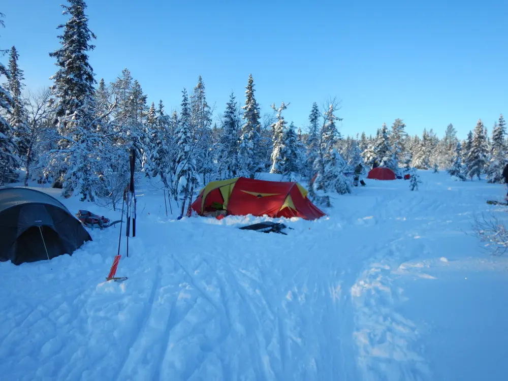 Vintertelting på Hedmarksvidda