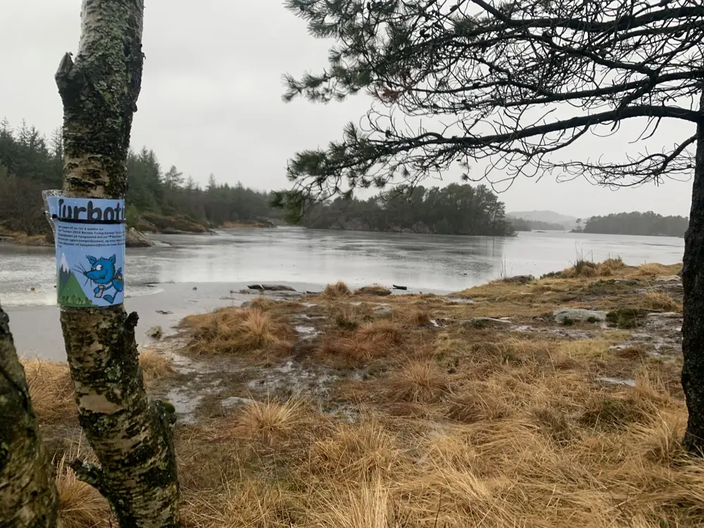 En turboplakat er heng opp på et tre ved et vann. 
