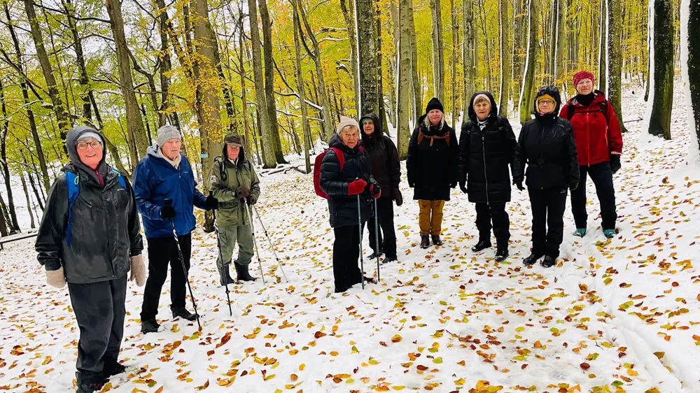 turgåere i skogen