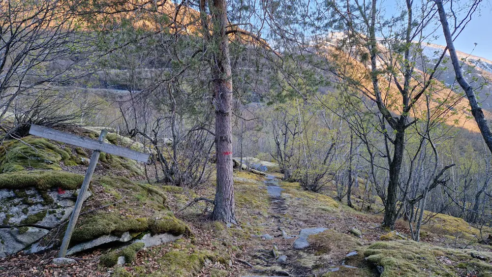 Kvilesteindalen