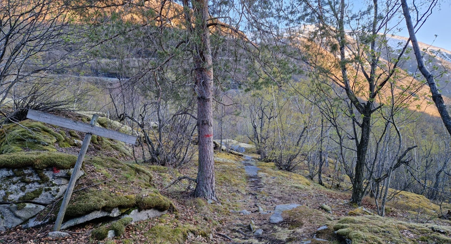 Kvilesteindalen