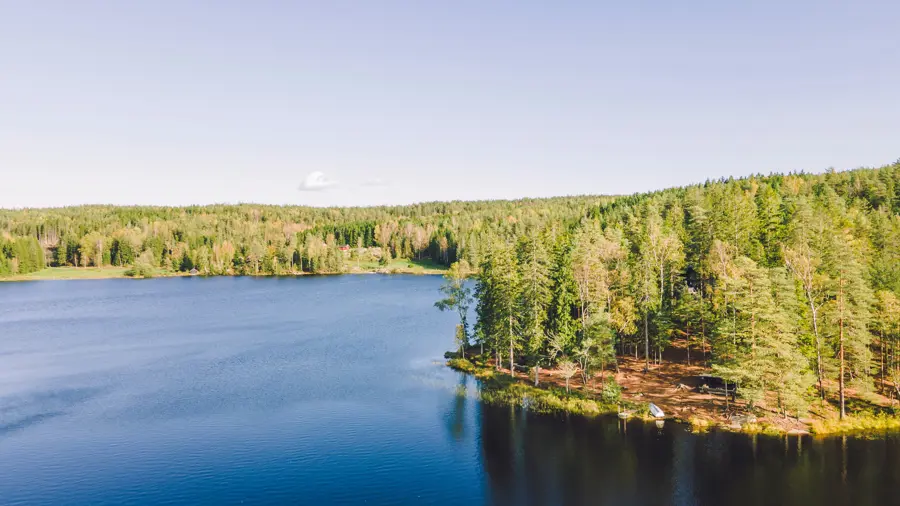 Et vann i skogen
