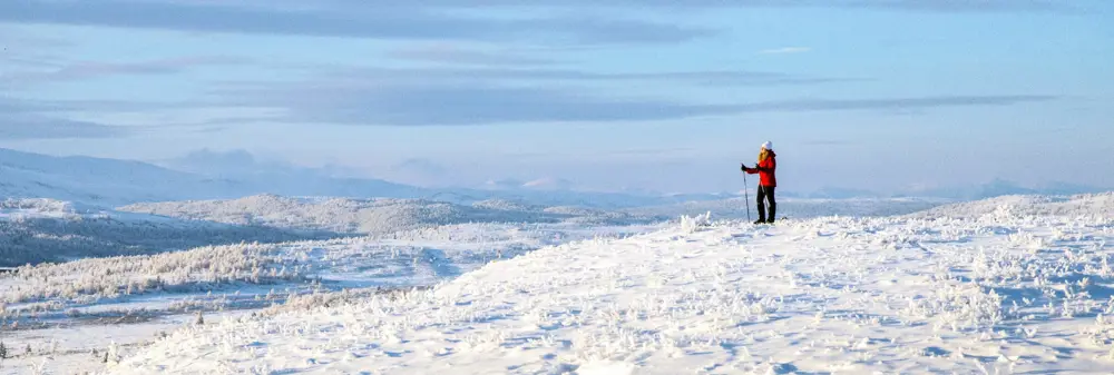 Skiløper på fjelltopp i vinterlandskap