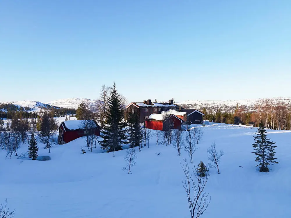 To mindre bygninger rundt en større to-etasjes L-formet brun hytte, i dyp snø, med spredte trær rundt som etterhvert blir tett nok til å være en skog