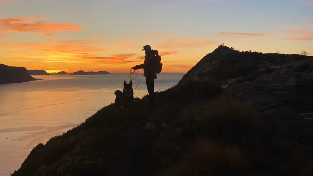 Person i solnedgang med hund