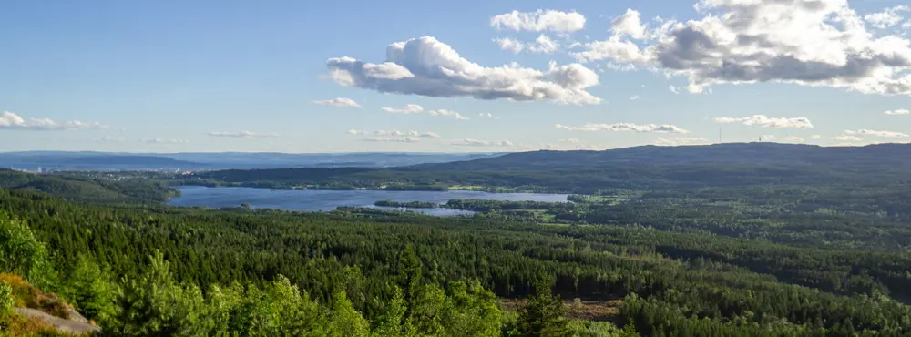 OSLO 20180619DNT tur til Barlindåsen.Foto: Arash A, Nejad  Til Topps-turer i Oslo våren 2018, der flyktninger, andre innvandrere og frivillige i DNT møttes og gikk på tur. Her fra tur til Barlindåsen. 