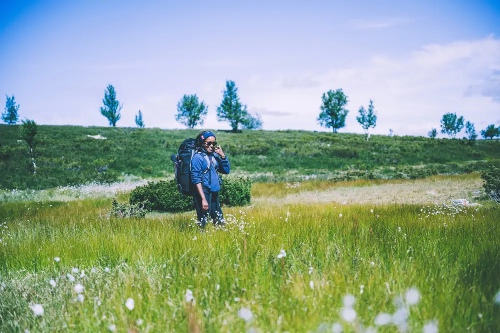 En blomstereng, med en person som går på tvers av den. En gressdekket rygg i bakgrunnen, med spredte trær på den. 
