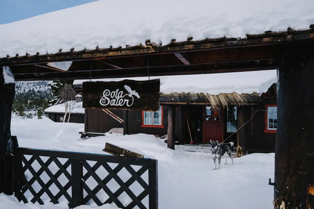 Bilder fra "Pudderfest" på Sota Sæter, Breheimen.