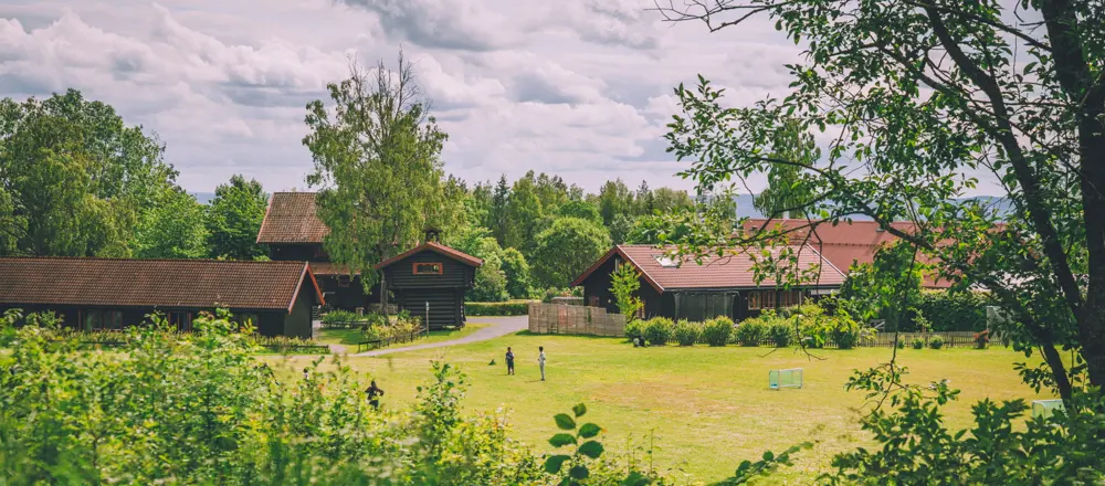 Åpne dager på Sæteren Gård