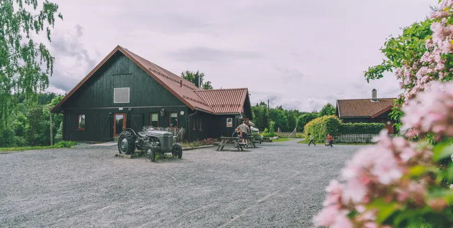 Åpne dager på Sæteren Gård
