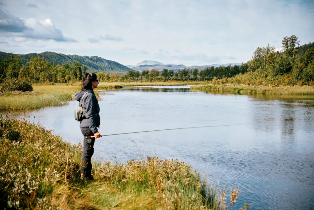 Langsua Nasjonalpark, Liomseter.