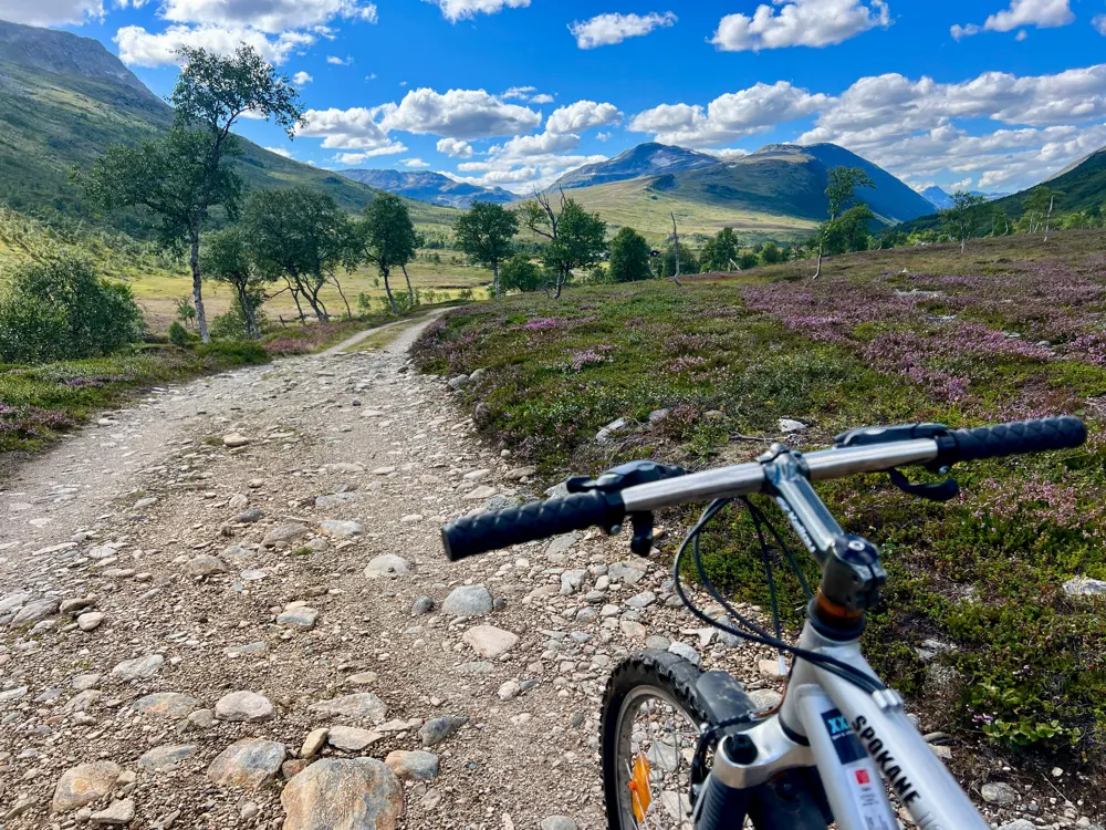 Styret og forhjulet på en sykkel, som det ser ut som fotografen sitter på, og en steinete fjellvei som går foran. Noen spredte trær langs venstre veikanten. Lyng og blomster på høyre side. 