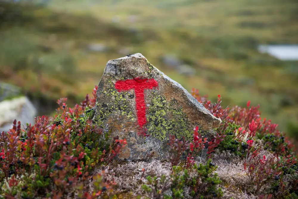 Varde i Stølsheimen. Ca en kilometer fra Åsedalen.
