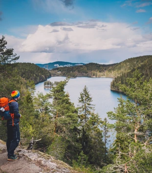 Mann ser utover skogsvann