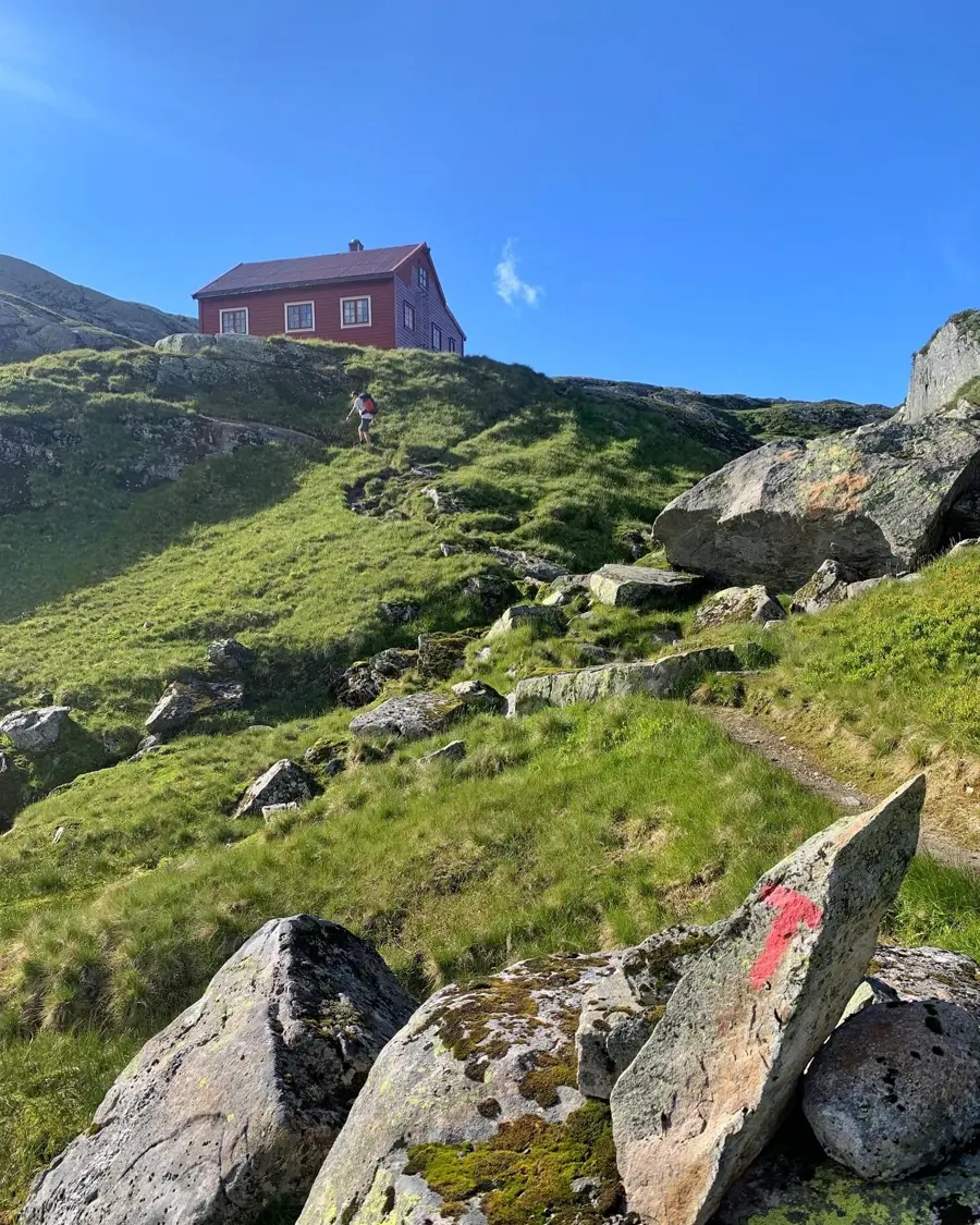Gullhorgabu til Høgabu august 2022. Bergsdalen.