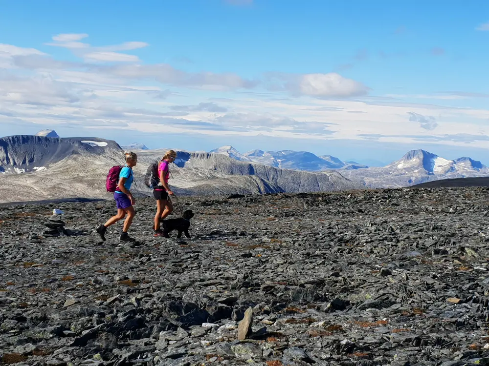 To kvinner og en liten hund i bånd som går over en steinete og øde landskap, med store fjell i bakgrunnen