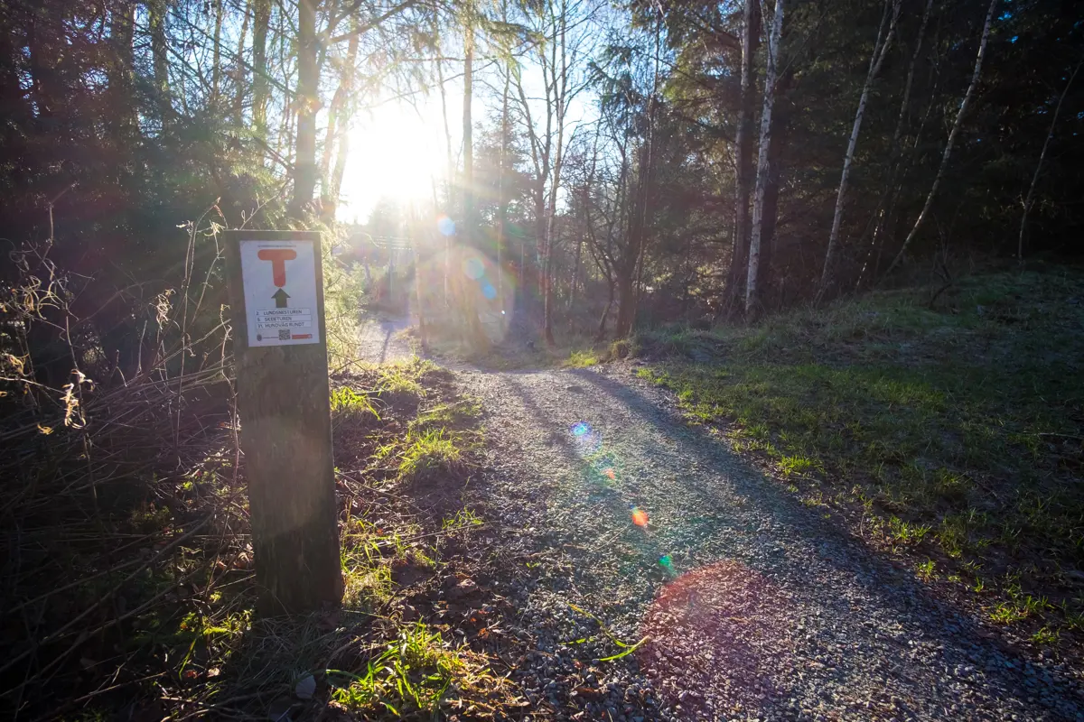 Solen skinner ned mot en tursti. Lang stien står den en stople som er merket med rød T, på hvitt skilt. 