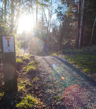Solen skinner ned mot en tursti. Lang stien står den en stople som er merket med rød T, på hvitt skilt.