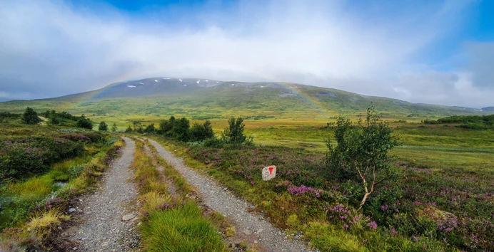 Naturlandskap, hvor en litt overvokst vei med to hjulspor strekker seg fra synspunktet og inn i bildet. På høyresiden av veien er en liten hvit vardestein med påmalt rød T. Mellom oss og fjellet i bakgrunnen kan man så vidt skimte en regnbue.