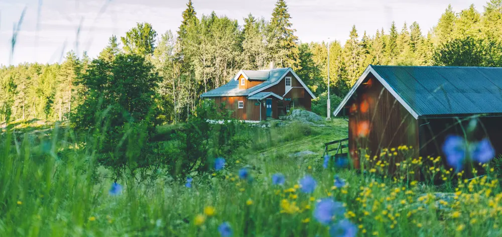 Rødt hus med uthus i vakker blomstereng
