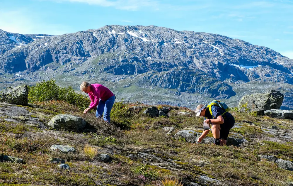 Fellestur til Jonstølen i Suldal for 60+