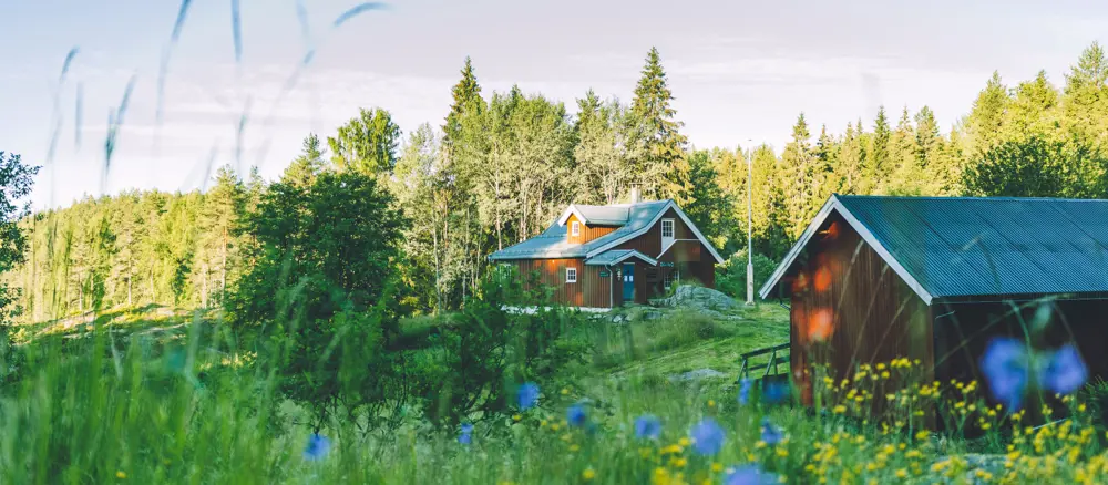 Rød trehytte med blått tak omgitt av grønn skog og blomstereng