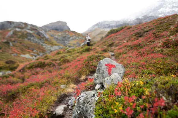 Bilder fra Haukeliseter - Holmavatn høsten 2022.