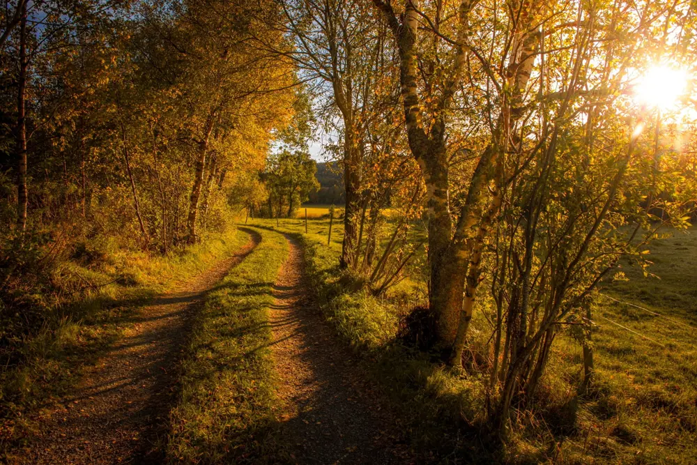 [Fosen,Norge] veien til noe spennende