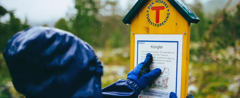 Barnas turlag med familicamp på Sota sæter i Juli 2015. 