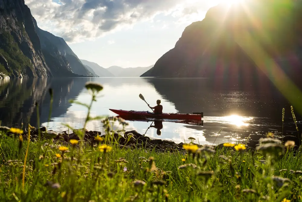Kajakkpadling i solnedgang, Lysefjorden, løvetann, ansatt padler.