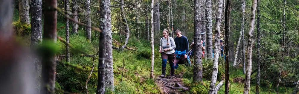 To personer som går på en sti gjennom en skog