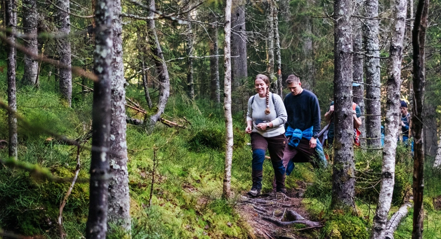 To personer som går på en sti gjennom en skog
