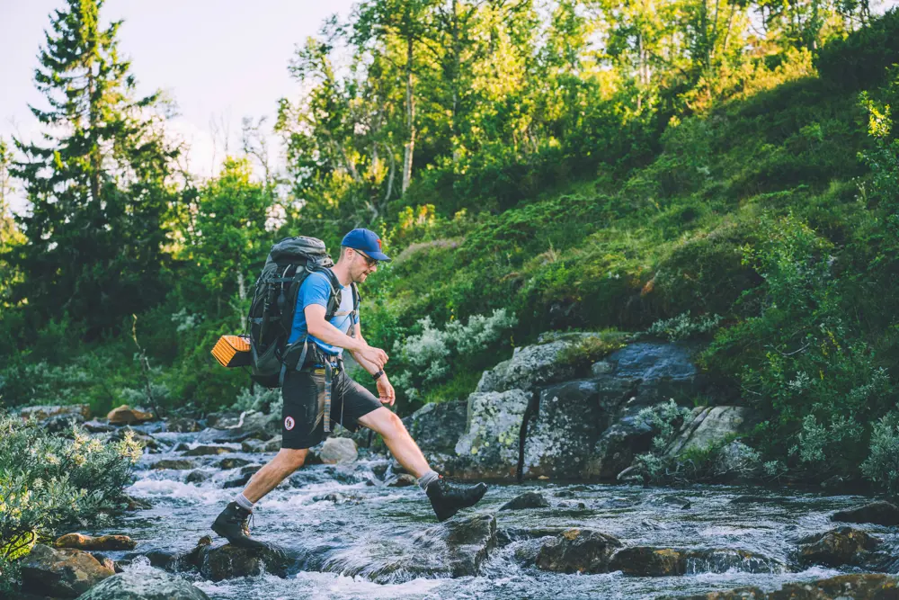 Fra ruta mellom Høgevarde og Toveseter. Sommeren 2021.