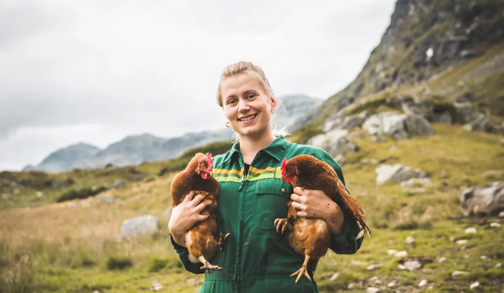 Iungsdalshytta i Skarvheimen, sommeren 2021.