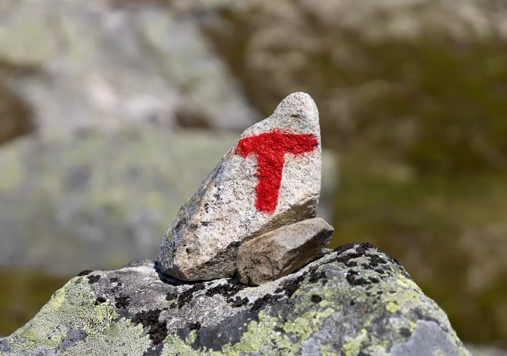 Rødmalt T på varde i fjellet.
