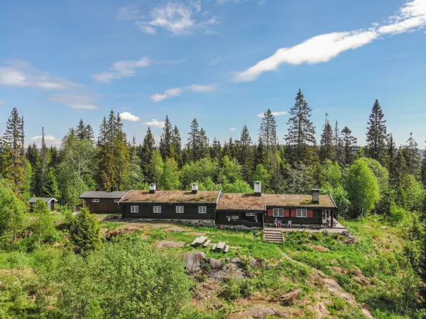 Svart tømmerhytte med torv på taket i barskog