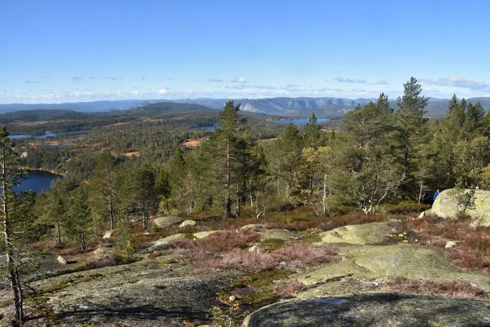 Skog og berg i høyfjellsnatur på en solskinnsdag