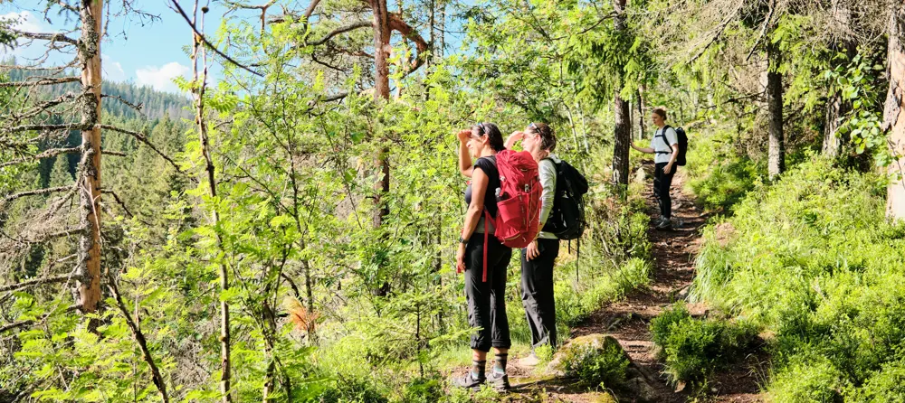 Tre personer på tur i skogen, to står tett sammen og skuer utover landskapet, mens en tredje står lenger bak med hånden på et tre. Alle bærer ryggsekker, og stien de går på er omgitt av tett, grønn vegetasjon