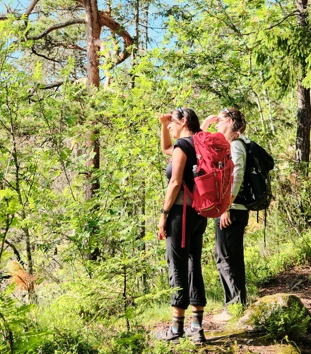Tre personer på tur i skogen, to står tett sammen og skuer utover landskapet, mens en tredje står lenger bak med hånden på et tre. Alle bærer ryggsekker, og stien de går på er omgitt av tett, grønn vegetasjon