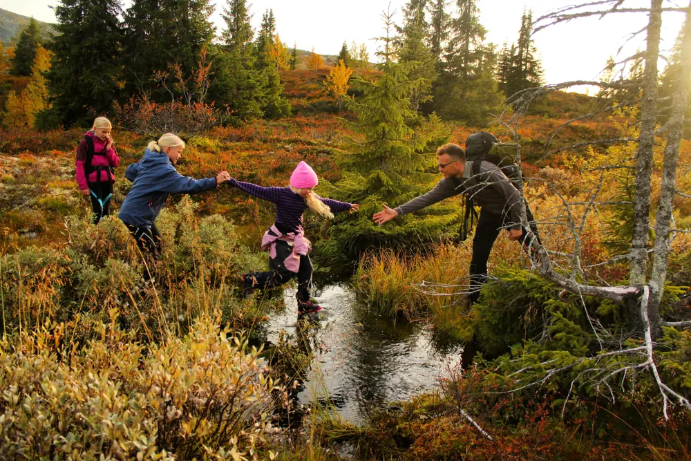 Bildet er fra Melleheimen i Høstferien. Vi er på vei ned etter topptur til Skarvemellen.