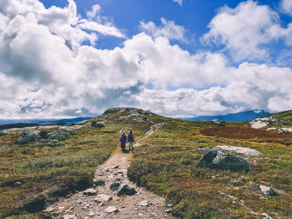 KDU Tinn, 2022. Fjell, sti, sommer og blå himmel